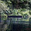 037 LOANGO 3 la Riviere MPIVIE Berge et Vegetation avec Pirogue 16E5K3IMG_121793_DxOawtmk.jpg