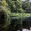 038 LOANGO 3 la Riviere MPIVIE Berge et Vegetation avec Pirogue 16E5K3IMG_121794_DxOawtmk.jpg