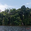 010 LOANGO 3 les Hippopotames la Lagune NDOGO Berge Arbres et Lianes 16E5K3IMG_122525_DxOawtmk.jpg