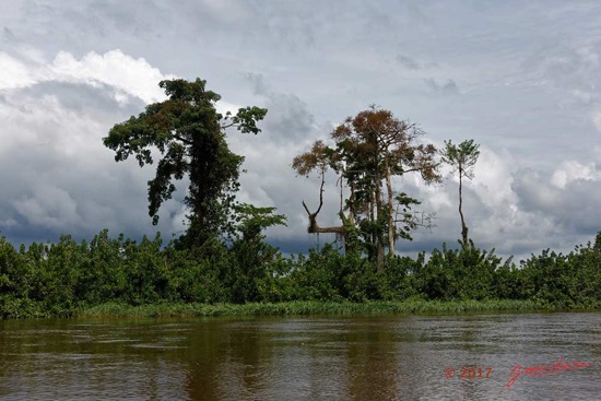 LOANGO-3-Descente-Ogooue-Berge-et-Arbres-16E5K3IMG_121521_DxOawtmk-WEB