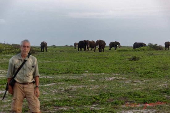 LOANGO-3-Inyoungou-Sounga-la-Lagune-NDOGO-la-Plage-Horde-Elephants-et-JLA-16E5K3IMG_122332_DxOawtmk-WEB