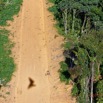 144 ULM Lastourville 1 le Vol la Foret Piste et Ombre 17E5K3IMG_123555_DxOawtmk.jpg