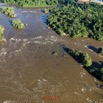 052 ULM Lastoursville 2 Survol de la Foret et Fleuve Ogooue 17E5K3IMG_125337_DxOwtmk.jpg