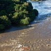 066 ULM Lastoursville 2 Survol de la Foret et Fleuve Ogooue 17E5K3IMG_125398_DxOwtmk.jpg