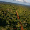 120 ULM Lastoursville 2 Survol de la Foret et Piste 17E5K3IMG_125598_DxOwtmk.jpg