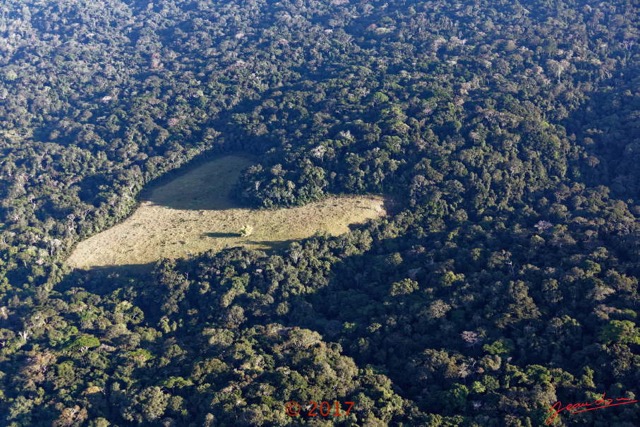 121 ULM Lastoursville 2 Survol de la Foret et Savane en Coeur 17E5K3IMG_125616_DxOwtmk.jpg