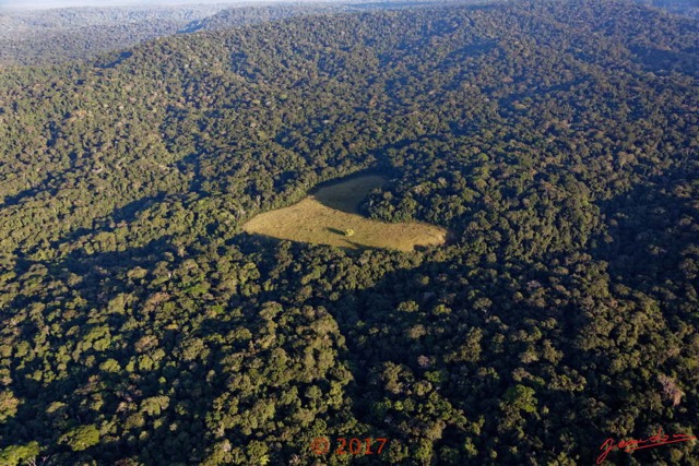 122 ULM Lastoursville 2 Survol de la Foret et Savane en Coeur 17E5K3IMG_125619_DxOwtmk.jpg