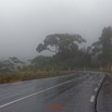 175 ULM Lastoursville 2 Route vers Franceville sous la Pluie 17E5K3IMG_125917_DxOwtmk.jpg