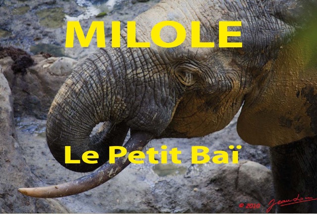 030 Titre Photos Milole Petit Bai.jpg