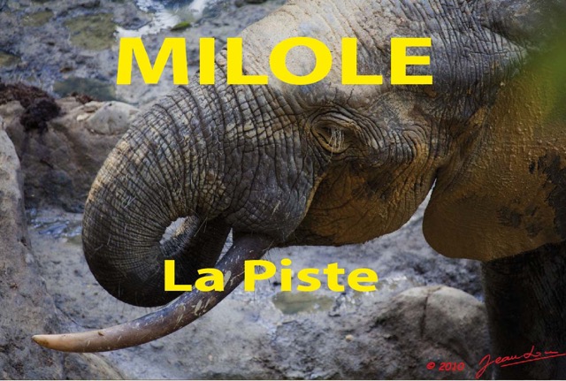 065 Titre Photos Milole la Piste.jpg