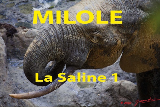 071 Titre Photos Milole Saline 1.jpg