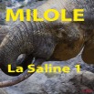 071 Titre Photos Milole Saline 1.jpg