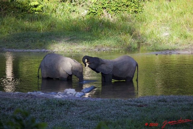 008 MOUPIA 5 Bai Elephants 2 10E5K2IMG_64410wtmk.jpg