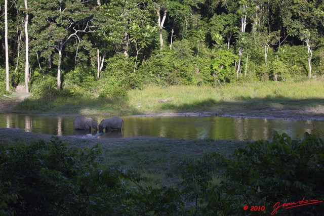 009 MOUPIA 5 Bai Elephants 2 10E5K2IMG_64415wtmk.jpg