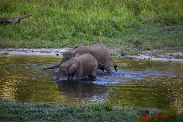 014 MOUPIA 5 Bai Elephants 8 10E5K2IMG_64461wtmk.jpg