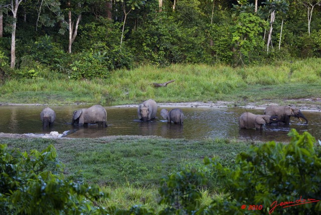 016 MOUPIA 5 Bai Elephants 8 10E5K2IMG_64469wtmk.jpg