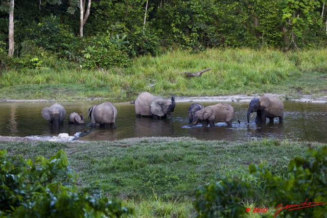 018 MOUPIA 5 Bai Elephants 8 10E5K2IMG_64486wtmk.jpg