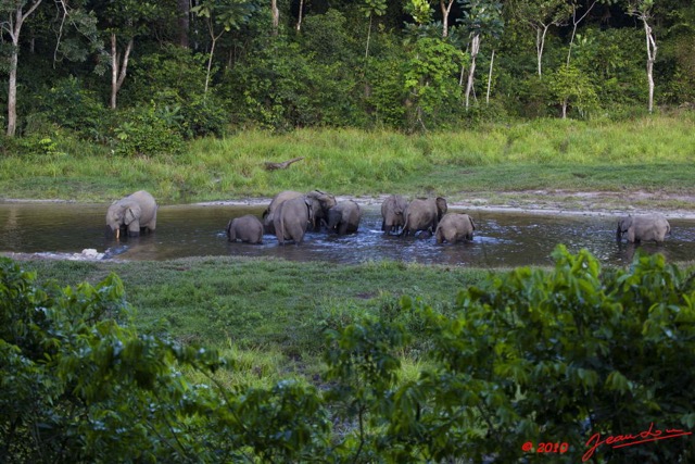 030 MOUPIA 5 Bai Elephants 28 10E5K2IMG_64557wtmk.jpg