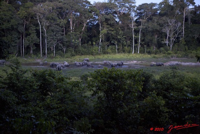 036 MOUPIA 5 Bai Elephants 31 10E5K2IMG_64577wtmk.jpg
