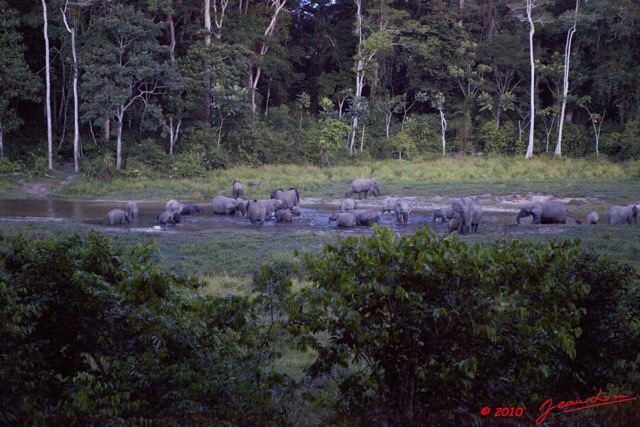 037 MOUPIA 5 Bai Elephants 31 10E5K2IMG_64581wtmk.jpg