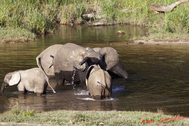 022 MOUPIA 6 Elephants au Bai 1 11E5K2IMG_69319wtmk.jpg