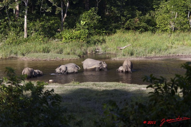 023 MOUPIA 6 Elephants au Bai 1 11E5K2IMG_69325wtmk.jpg