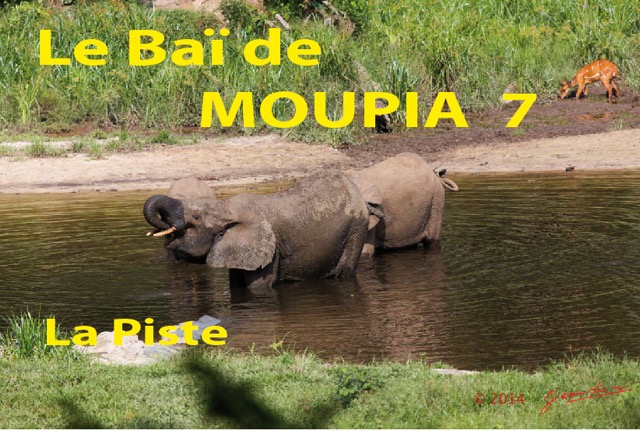 004 Titre Photos Moupia 7 Piste-01.jpg