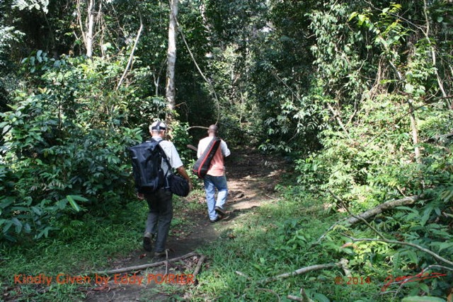 015 Moupia 7 Marche en Foret Guillaume et JLA EP14IMG_EP0871bwtmk.jpg