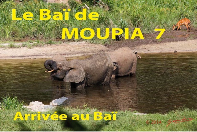 020 Titre Photos Moupia 7 Arrivee Bai-01.jpg