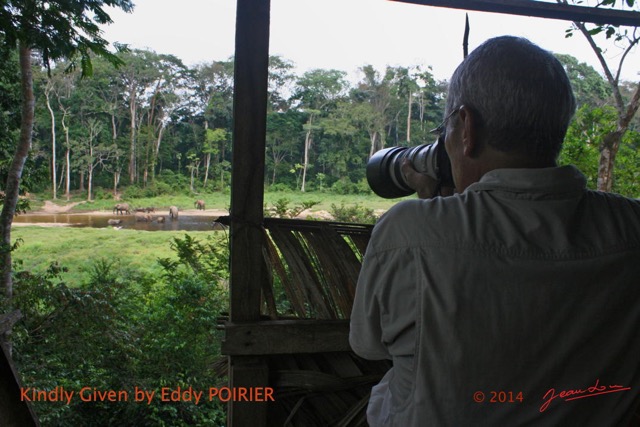 059 Moupia 7 Photo Elephants depuis Observatoire par JLA EP14IMG_EP0889bwtmk.jpg