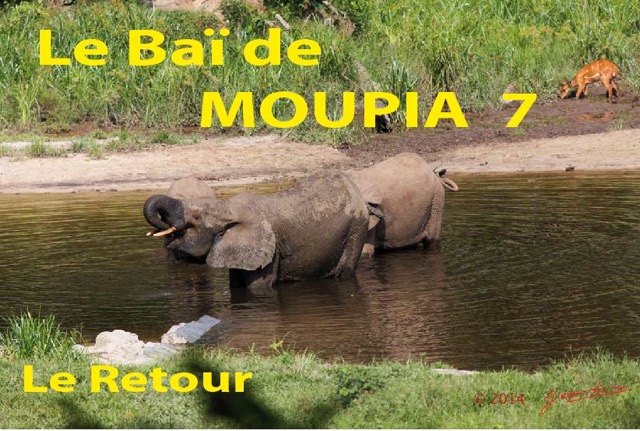 078 Titre Photos Moupia 7 Retour-01.jpg