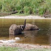 010 MOUPIA 10 Bai 1 Elephants Famille de 3 Baignade 17E5K3IMG_123738_DxOawtmk.jpg
