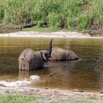 010 MOUPIA 10 Bai 1 Elephants Famille de 3 Baignade 17E5K3IMG_123738_DxOawtmk.jpg