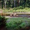 024 MOUPIA 10 Bai 1 Elephants Groupe 9 Pachydermes Baignade 17E5K3IMG_123766_DxOawtmk.jpg