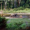 026 MOUPIA 10 Bai 1 Elephants Groupe 9 Pachydermes Baignade 17E5K3IMG_123768_DxOawtmk.jpg