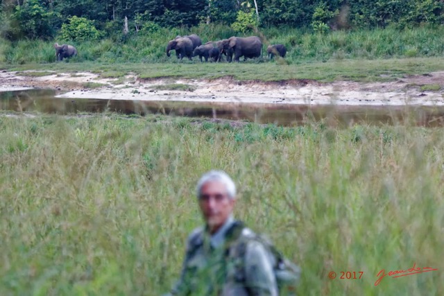 059 MOUPIA 10 Bai 1 Groupe Elephants et JLA 17E5K3IMG_123840_DxOawtmk.jpg