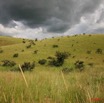 010 CANYON VERT Savane avec Orage 7EIMG_1773WTMK.JPG