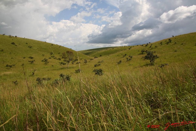 036 CANYON VERT Savane 7EIMG_1771WTMK.JPG
