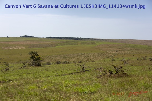 056 Canyon Vert 6 Savane et Cultures 15E5K3IMG_114134wtmk.jpg