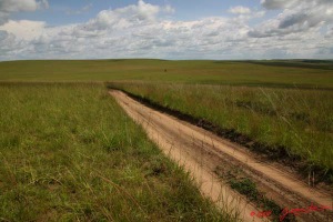 CANYON-VERT-Piste-et-Savane-7EIMG_1735WTMK-web