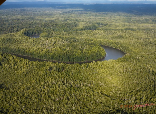 055 ULM Donguila Fleuve et Foret 13G1XIMG_88561wtmk.jpg