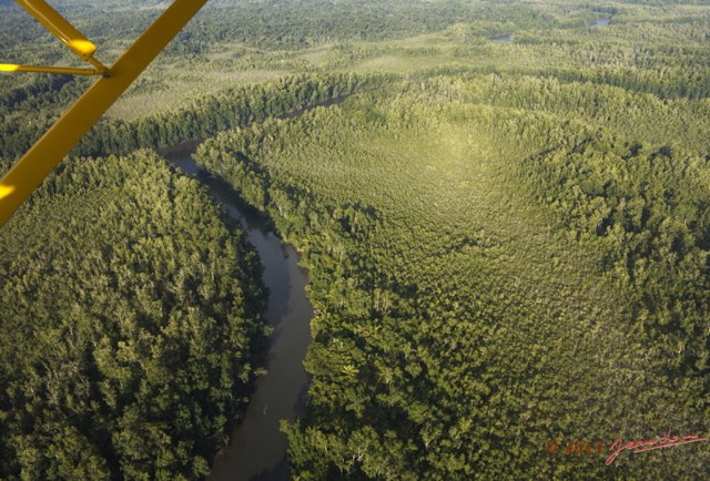 057 ULM Donguila Fleuve et Foret 13G1XIMG_88564wtmk.jpg