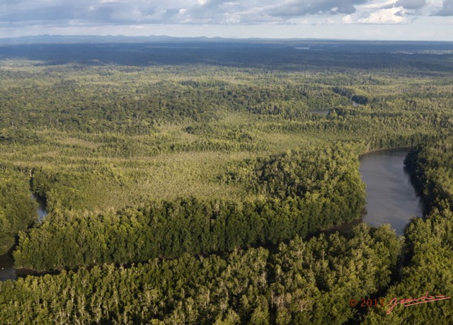060 ULM Donguila Fleuve et Foret 13G1XIMG_88569wtmk.jpg