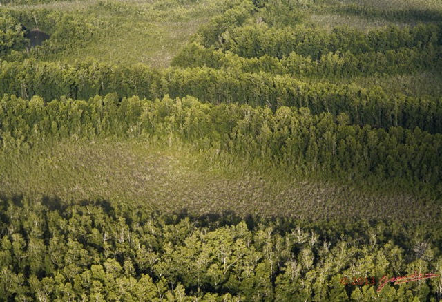 062 ULM Donguila la Foret 13G1XIMG_88571wtmk.jpg