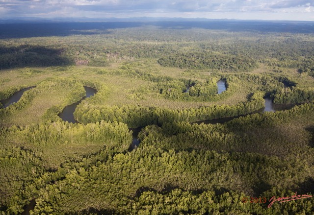 064 ULM Donguila Fleuve et Foret 13G1XIMG_88575wtmk.jpg