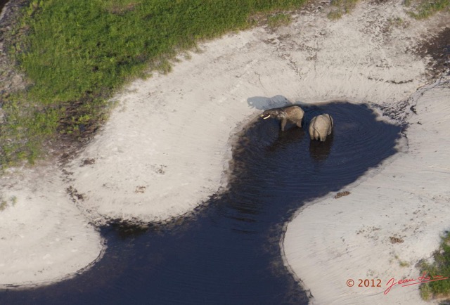068 Haut-Ogooue Vu du Ciel 3 Moupia Bai Mpughu Bandjogo avec Elephants 12E5K2IMG_73265awtmk.jpg