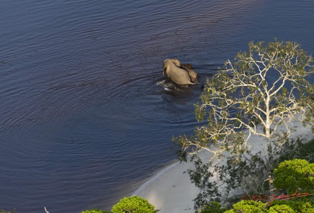 073 Haut-Ogooue Vu du Ciel 3 Moupia Bai Mpughu Bandjogo avec Elephants 12E5K2IMG_73273awtmk.jpg