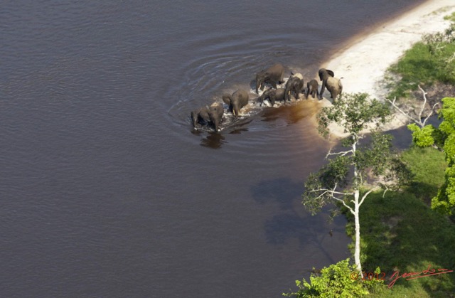 109 Haut-Ogooue Vu du Ciel 4 Bai Mpughu Bandjogo Elephants 12E5K2IMG_73793awtmk.jpg