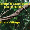 066 Titre Photos Ndougou Arret Village-01.jpg