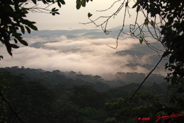 041 IBOUNDJI Mer de Nuages sur la Foret Vus du Mont le Matin 9E5KIMG_51201wtmk.jpg